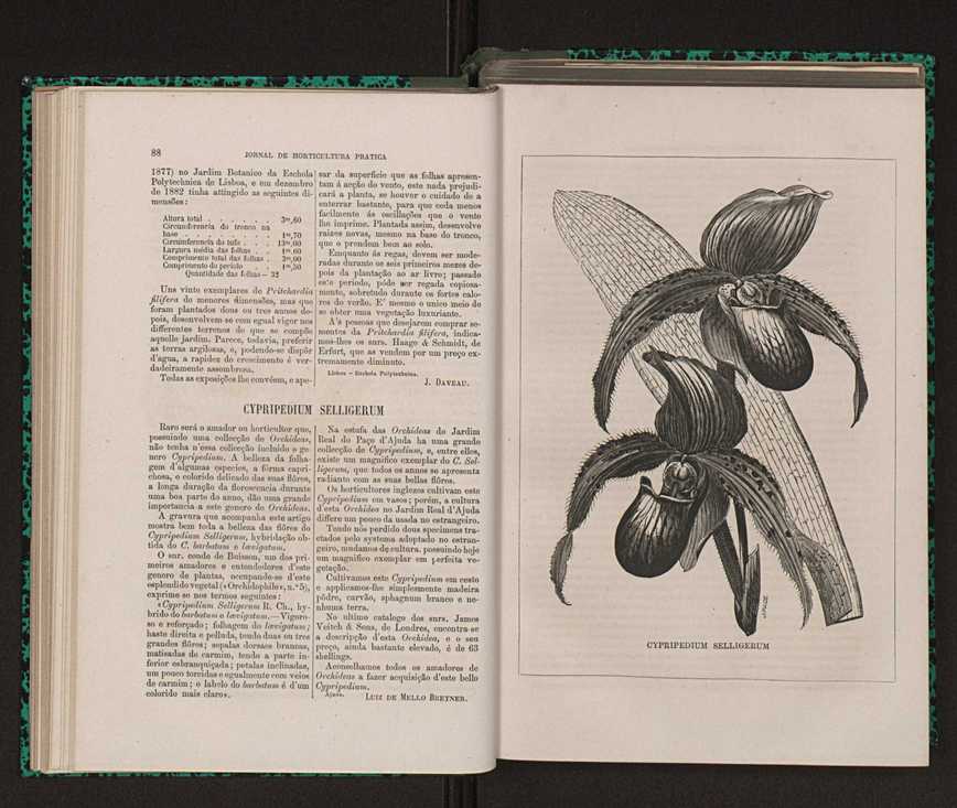 Jornal de horticultura prtica XIV 60