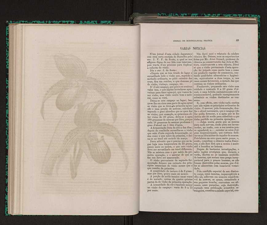 Jornal de horticultura prtica XIV 61