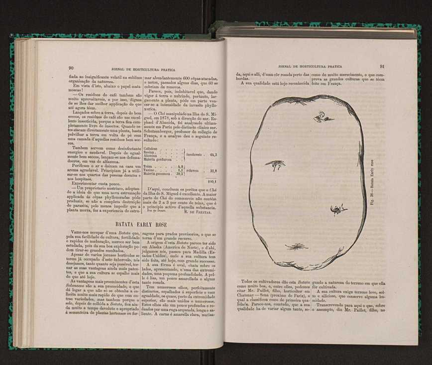 Jornal de horticultura prtica XIV 62