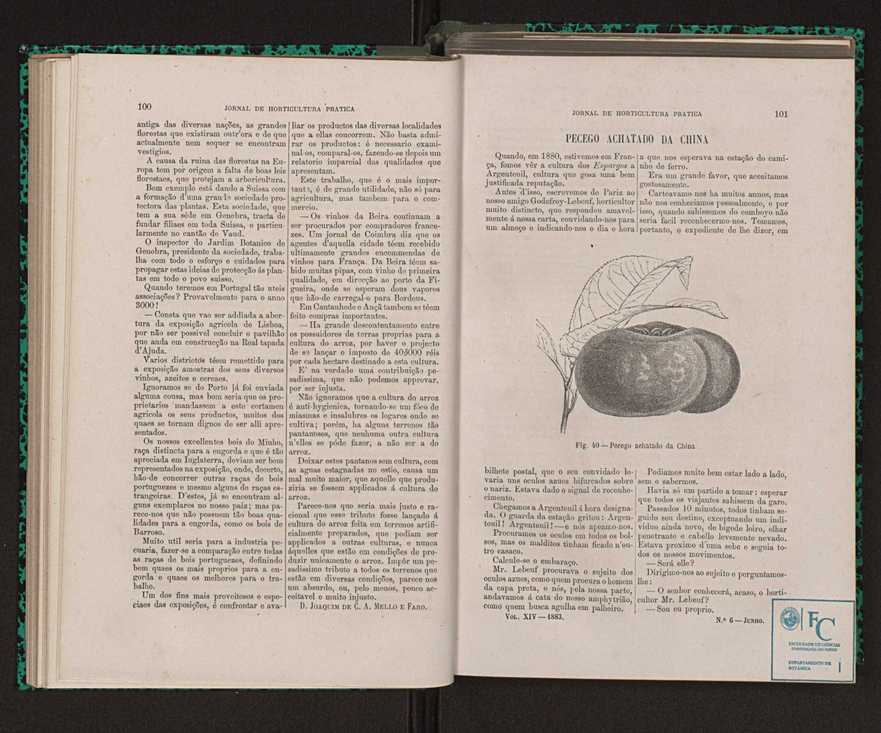 Jornal de horticultura prtica XIV 67