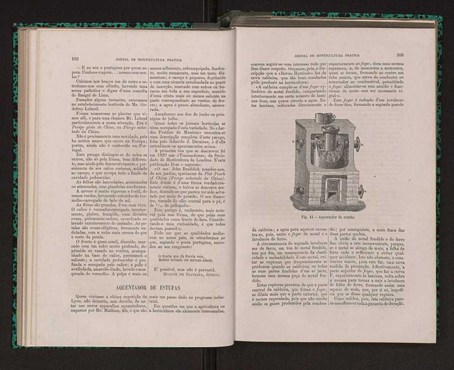 Jornal de horticultura prtica XIV 68