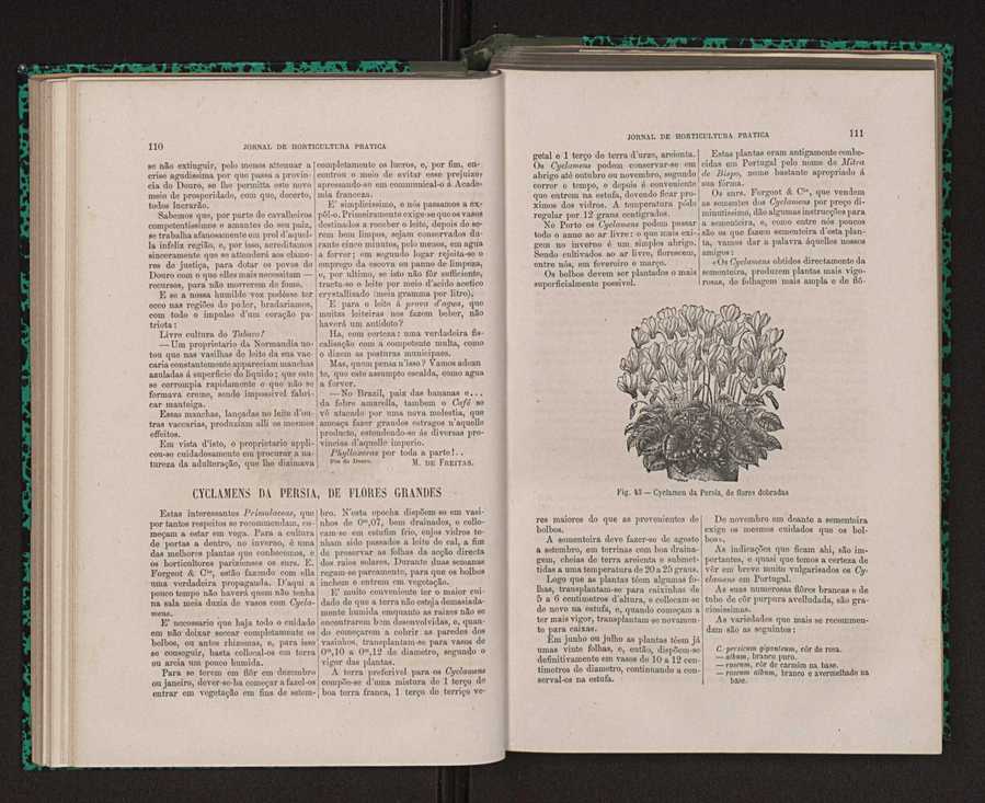 Jornal de horticultura prtica XIV 73