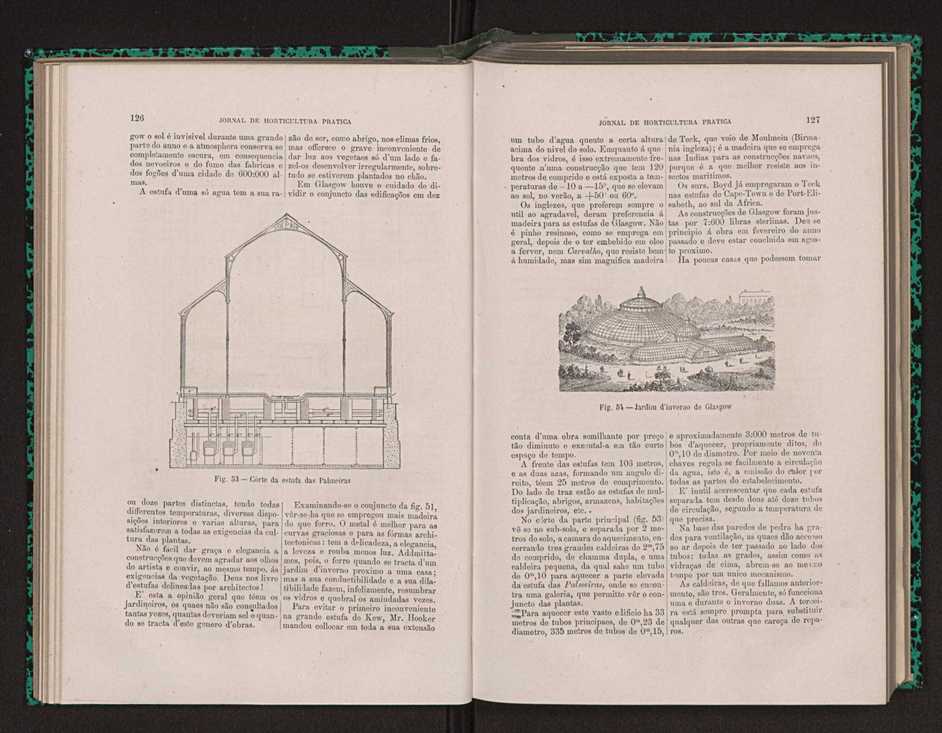 Jornal de horticultura prtica XIV 81