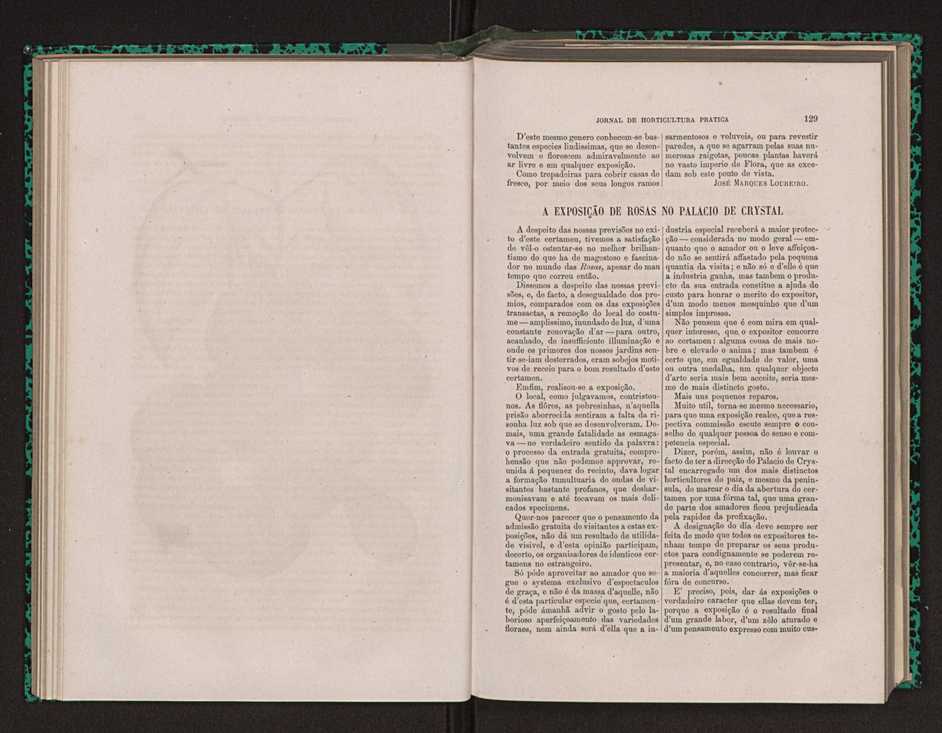 Jornal de horticultura prtica XIV 83