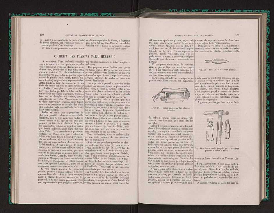 Jornal de horticultura prtica XIV 84