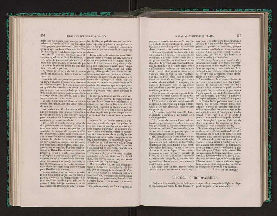 Jornal de horticultura prtica XIV 87