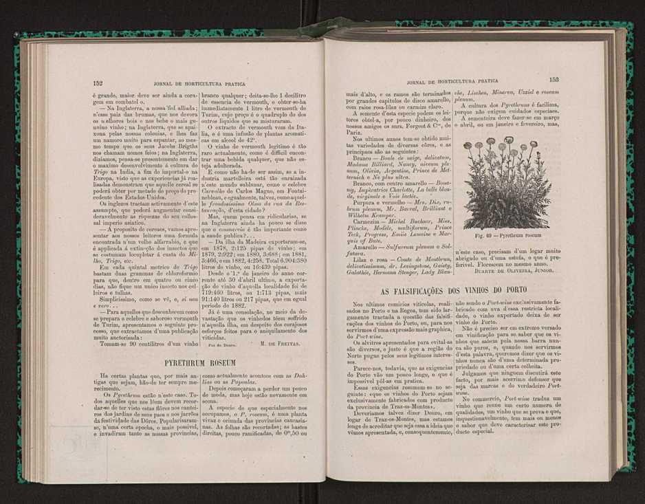 Jornal de horticultura prtica XIV 96