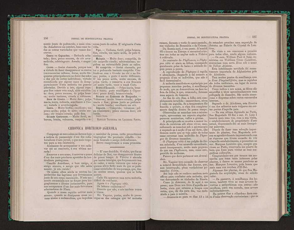 Jornal de horticultura prtica XIV 98