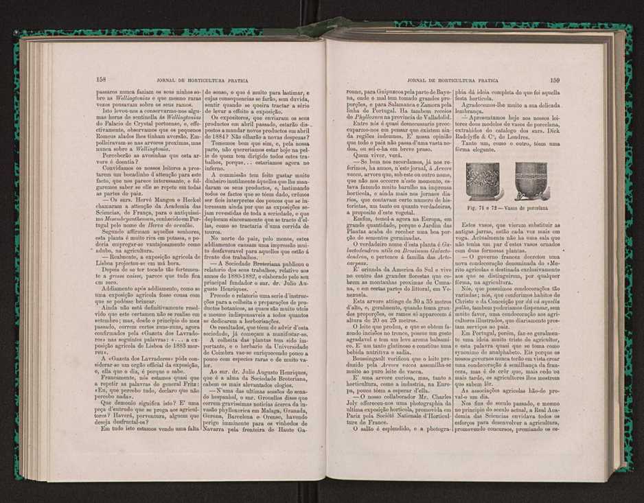 Jornal de horticultura prtica XIV 99