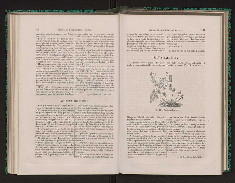 Jornal de horticultura prtica XIV 101