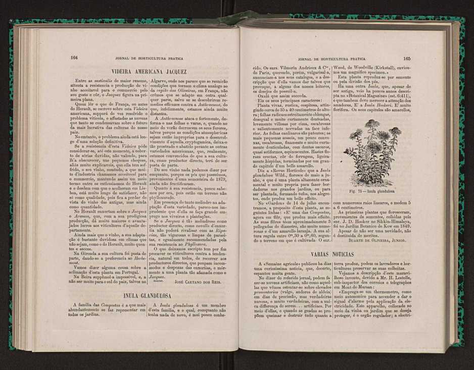 Jornal de horticultura prtica XIV 102