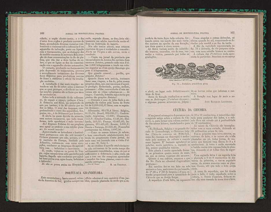 Jornal de horticultura prtica XIV 103