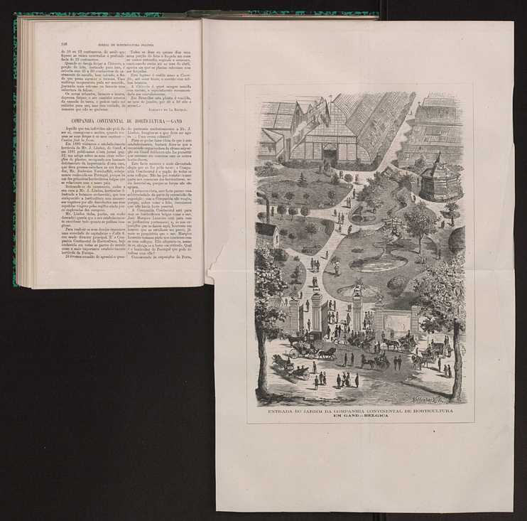 Jornal de horticultura prtica XIV 104