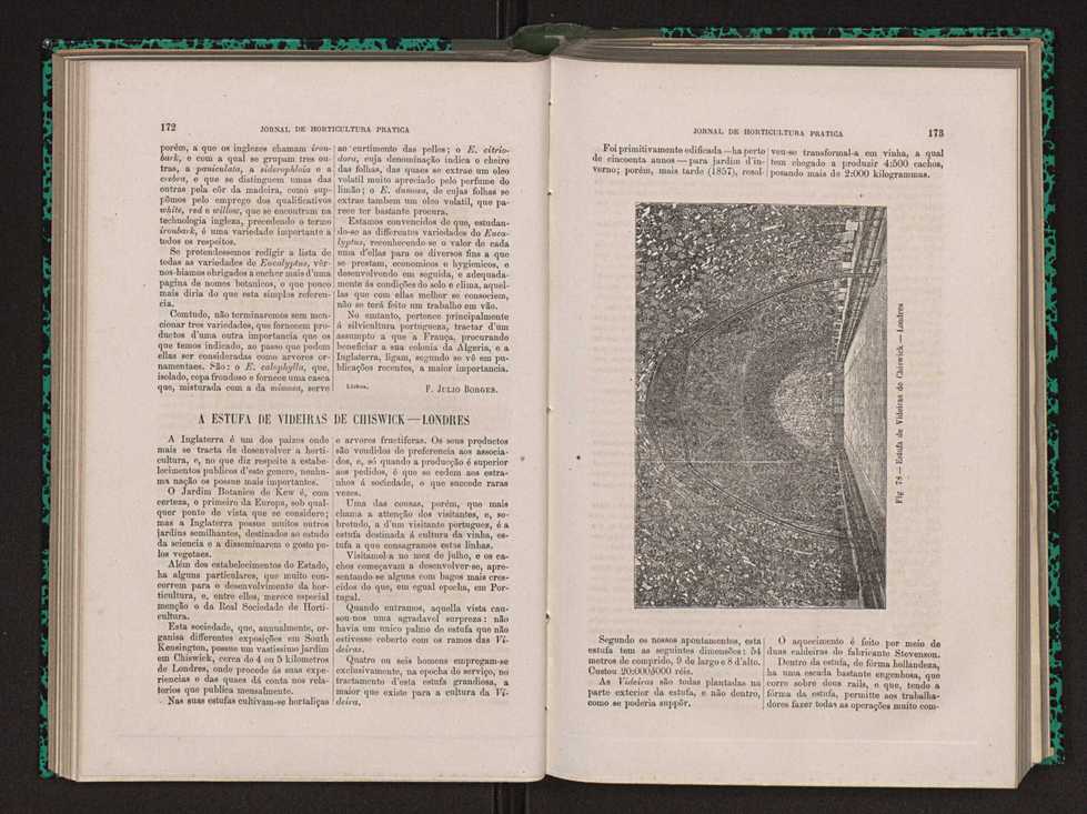 Jornal de horticultura pr�tica XIV 107