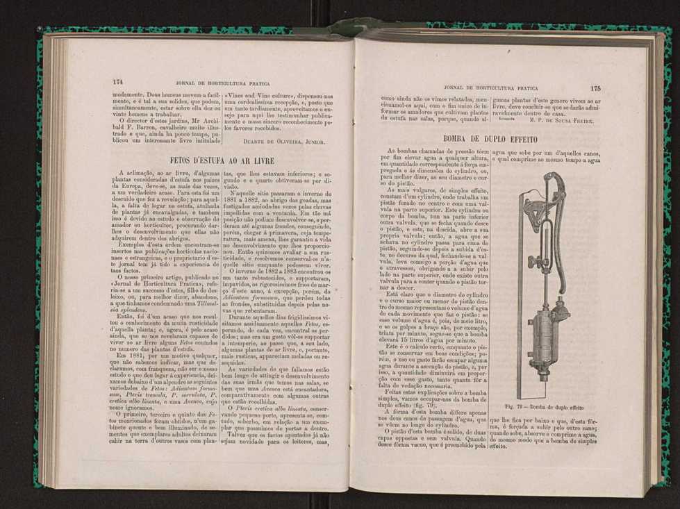 Jornal de horticultura prtica XIV 108