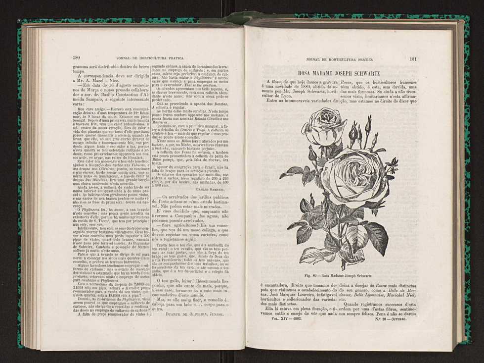 Jornal de horticultura prtica XIV 111