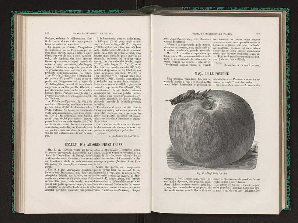 Jornal de horticultura prtica XIV 114