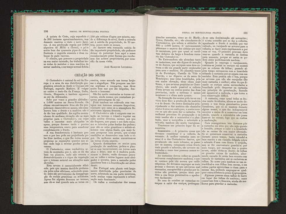 Jornal de horticultura prtica XIV 117