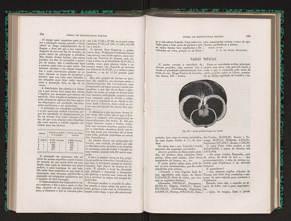 Jornal de horticultura prtica XIV 119