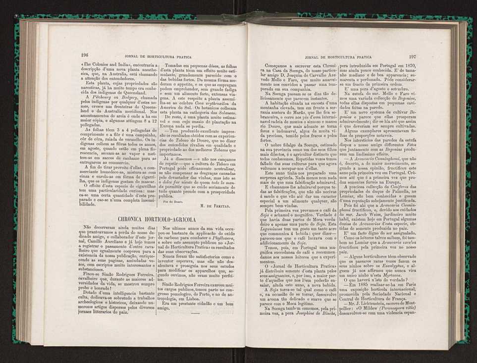 Jornal de horticultura prtica XIV 120