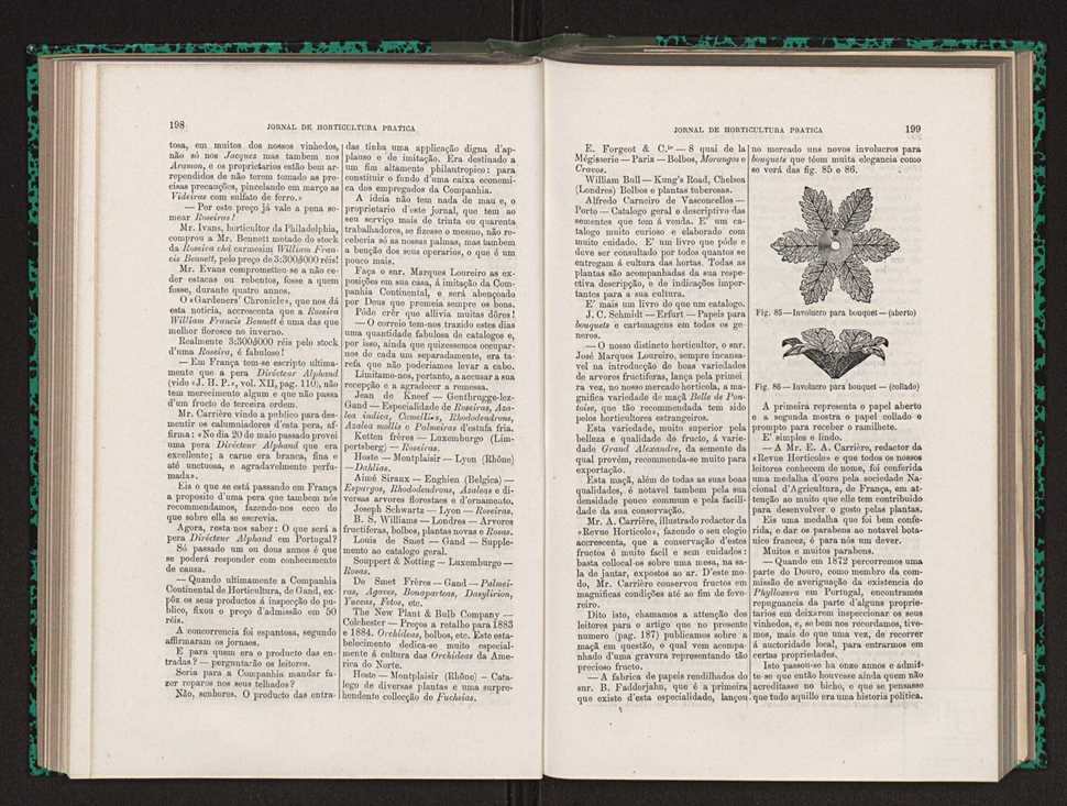 Jornal de horticultura prtica XIV 121
