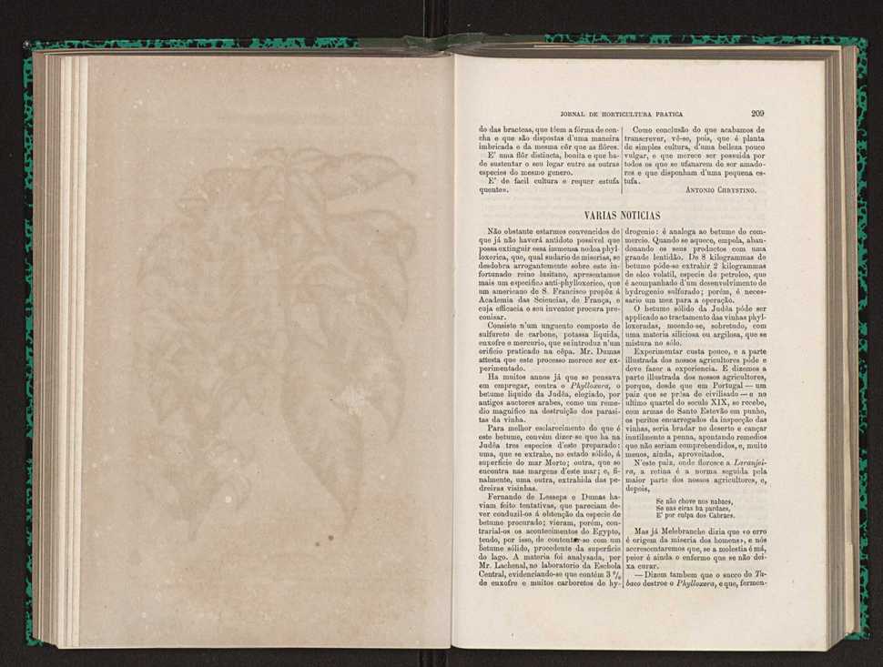 Jornal de horticultura prtica XIV 126