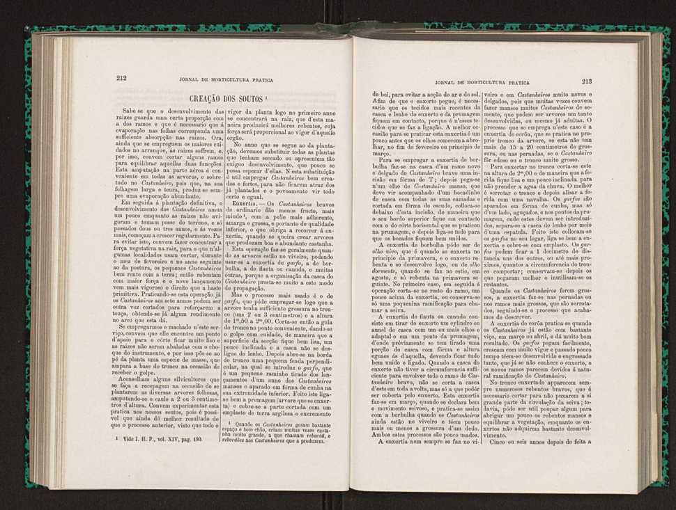 Jornal de horticultura prtica XIV 128