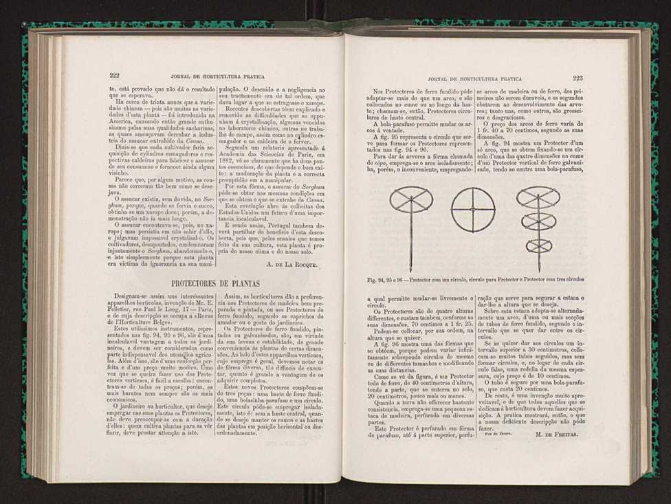 Jornal de horticultura prtica XIV 133