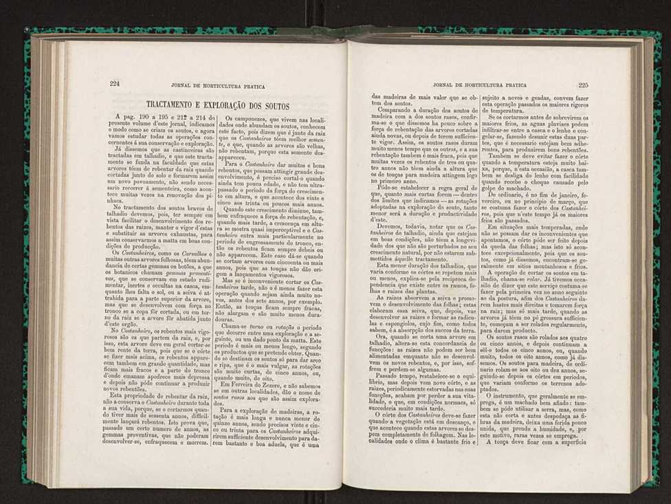 Jornal de horticultura prtica XIV 134