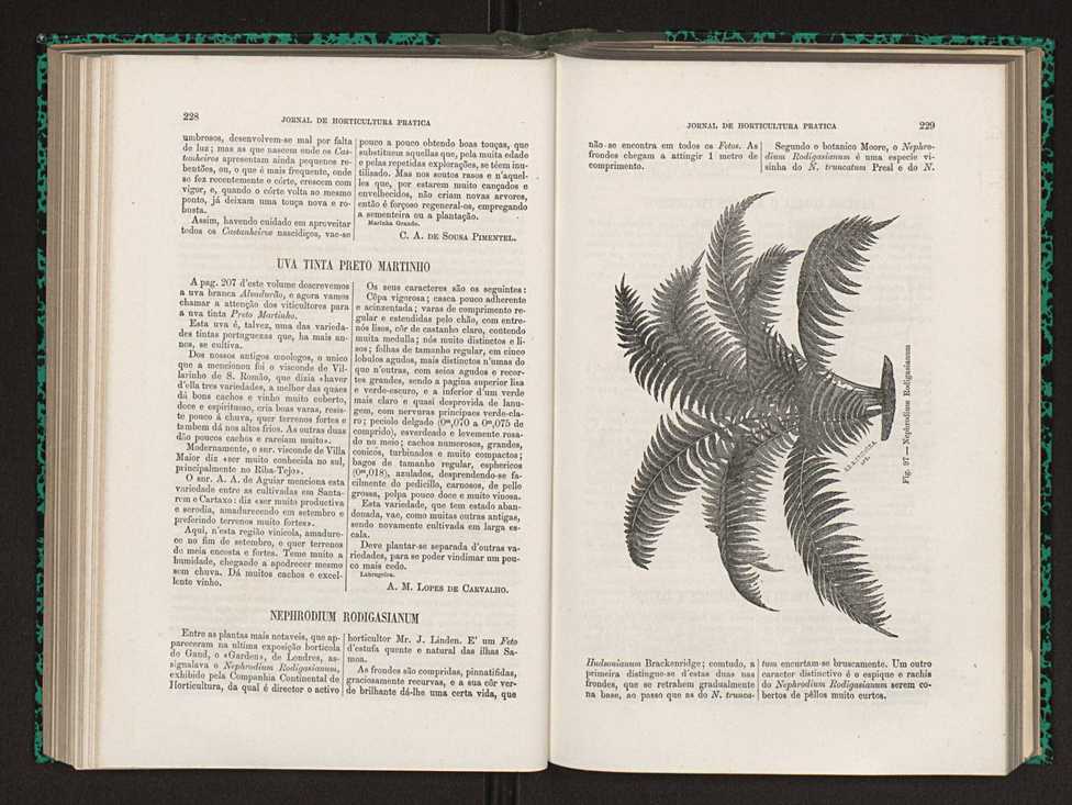 Jornal de horticultura pr�tica XIV 136