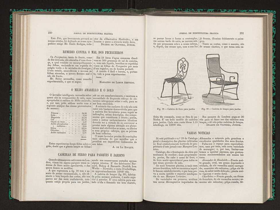 Jornal de horticultura prtica XIV 137