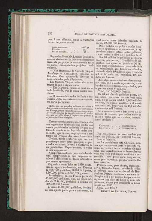 Jornal de horticultura prtica XIV 140