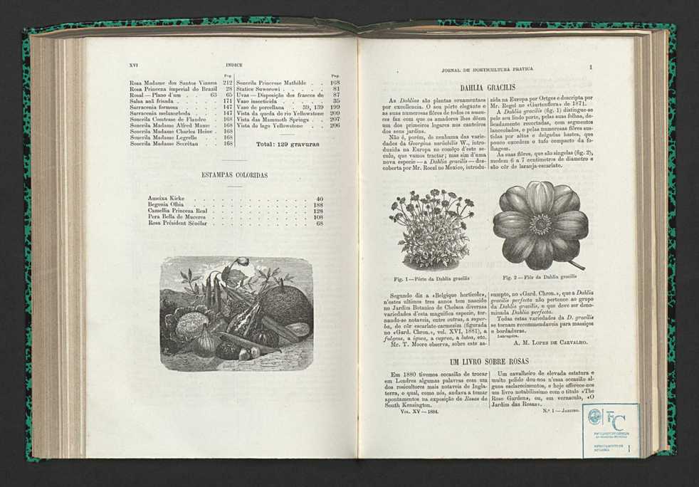 Jornal de horticultura prtica XV 9