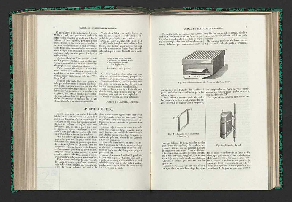 Jornal de horticultura prtica XV 10