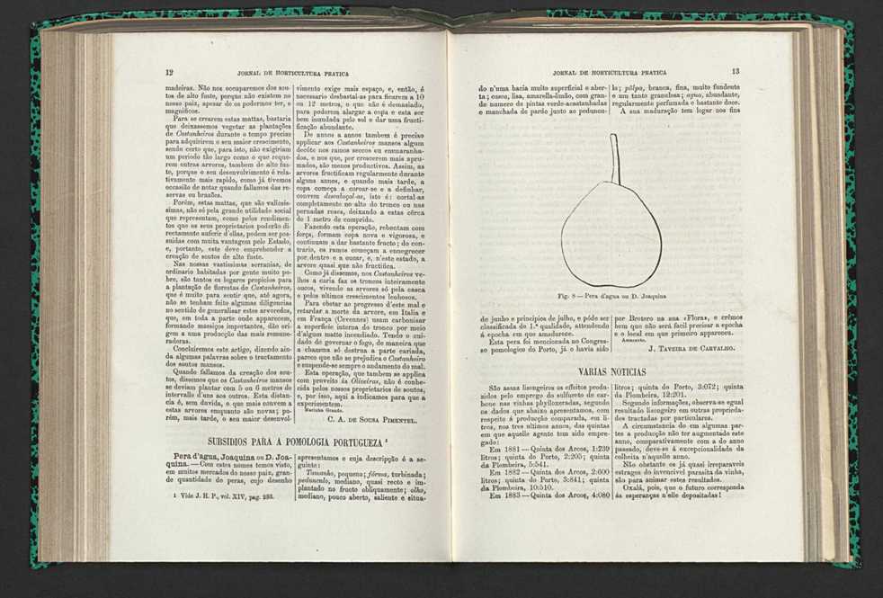 Jornal de horticultura prtica XV 16