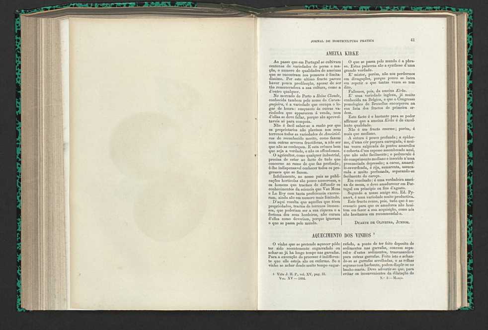 Jornal de horticultura pr�tica XV 33