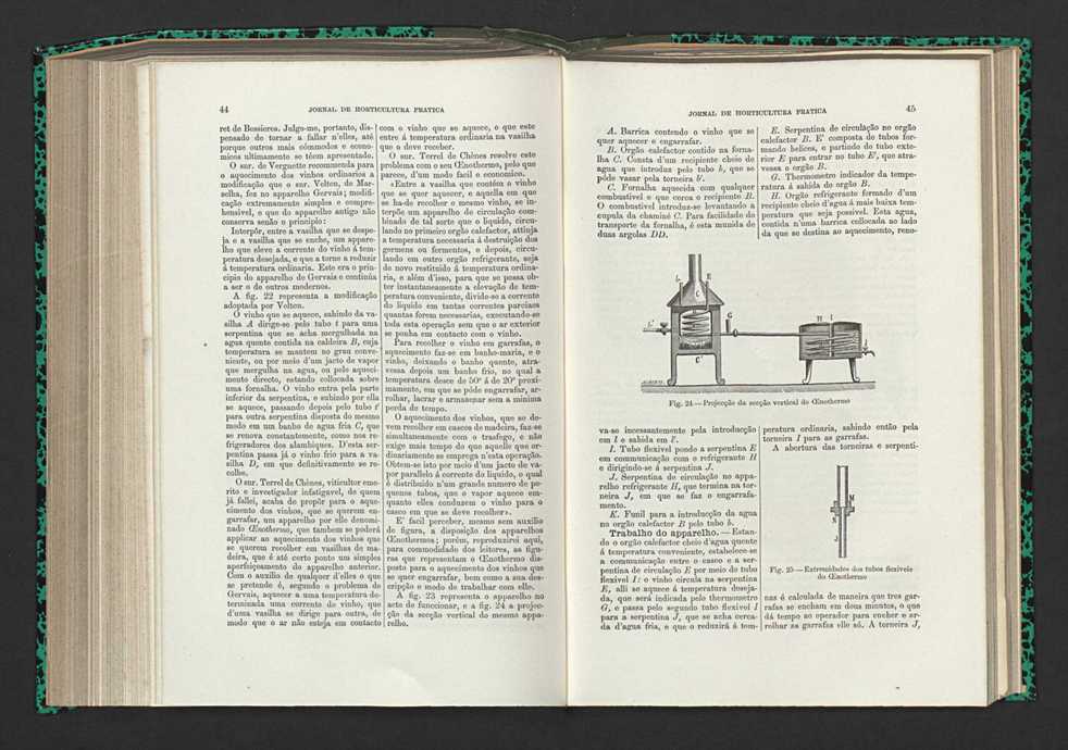 Jornal de horticultura prtica XV 35