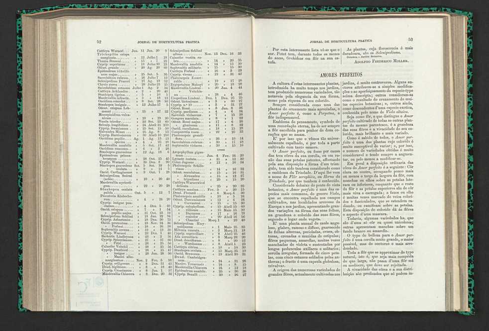 Jornal de horticultura prtica XV 40
