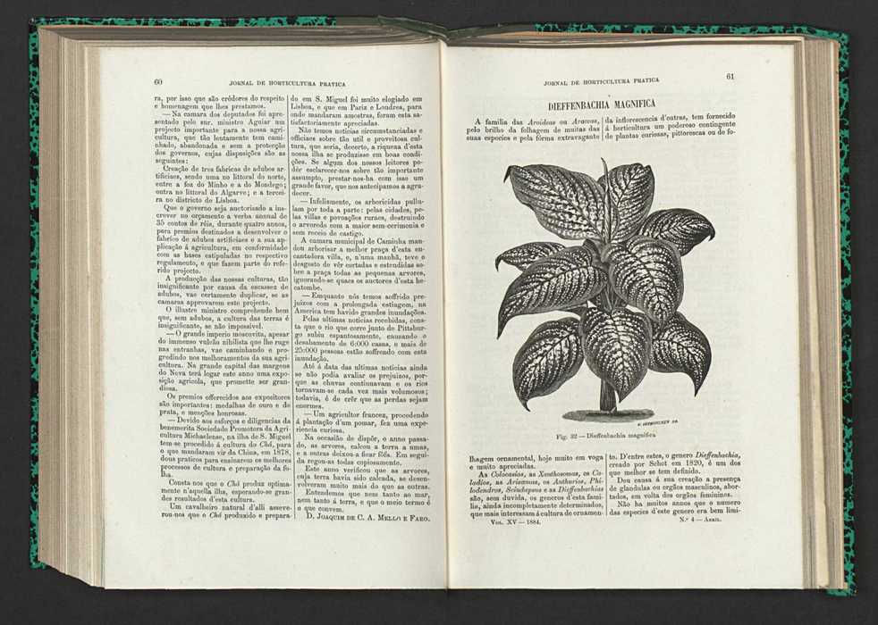 Jornal de horticultura prtica XV 44