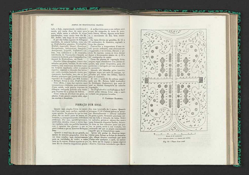 Jornal de horticultura prtica XV 45