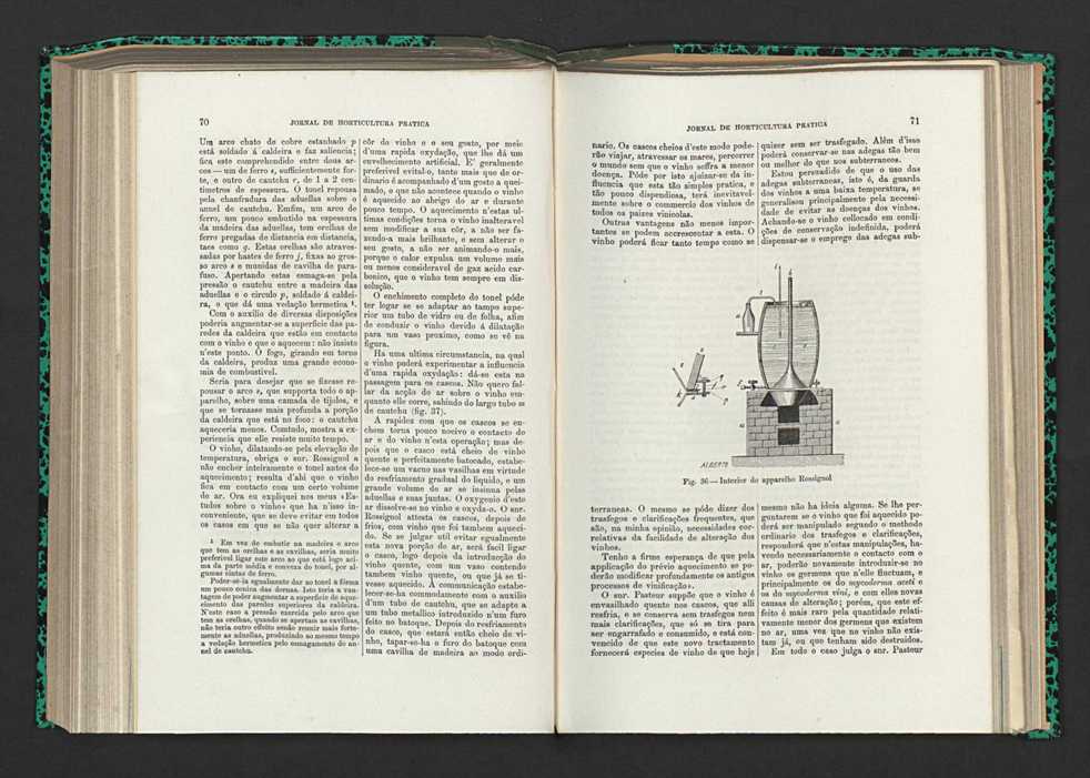 Jornal de horticultura prtica XV 51