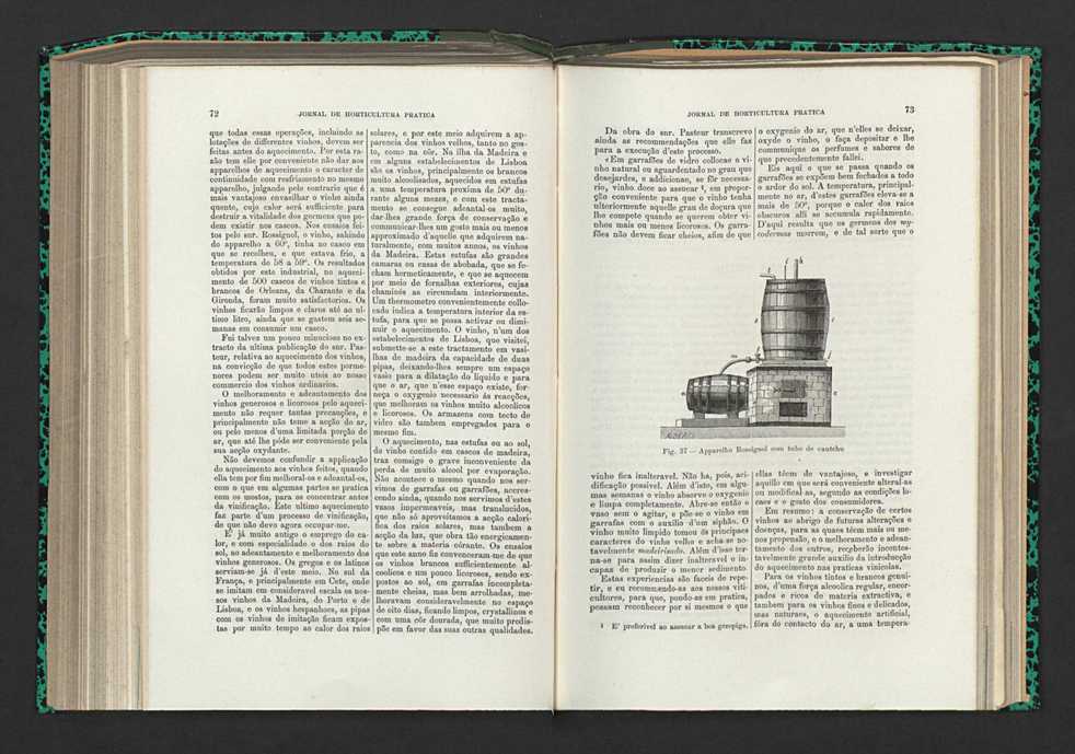 Jornal de horticultura pr�tica XV 52