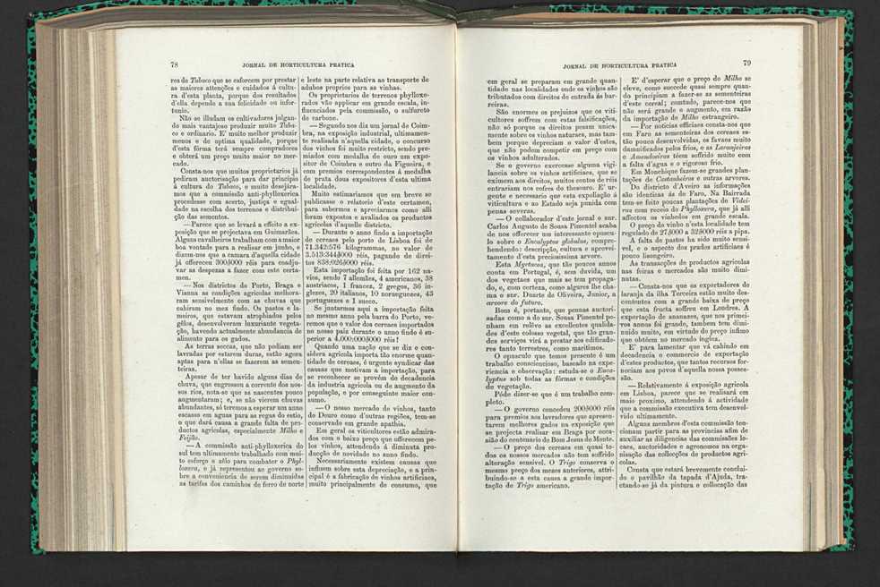 Jornal de horticultura prtica XV 55