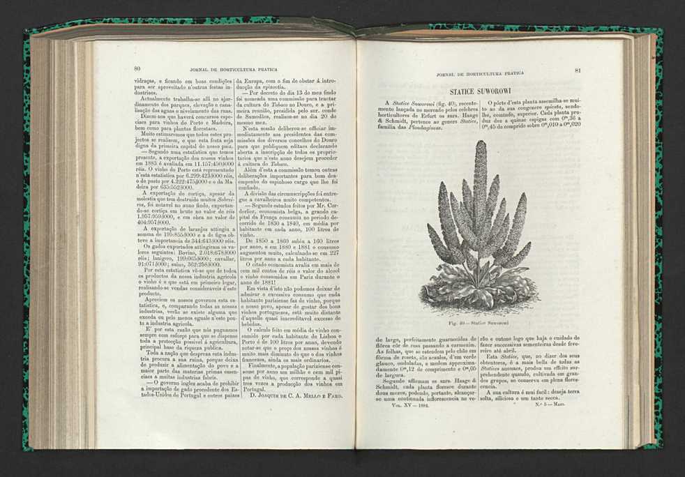 Jornal de horticultura prtica XV 56