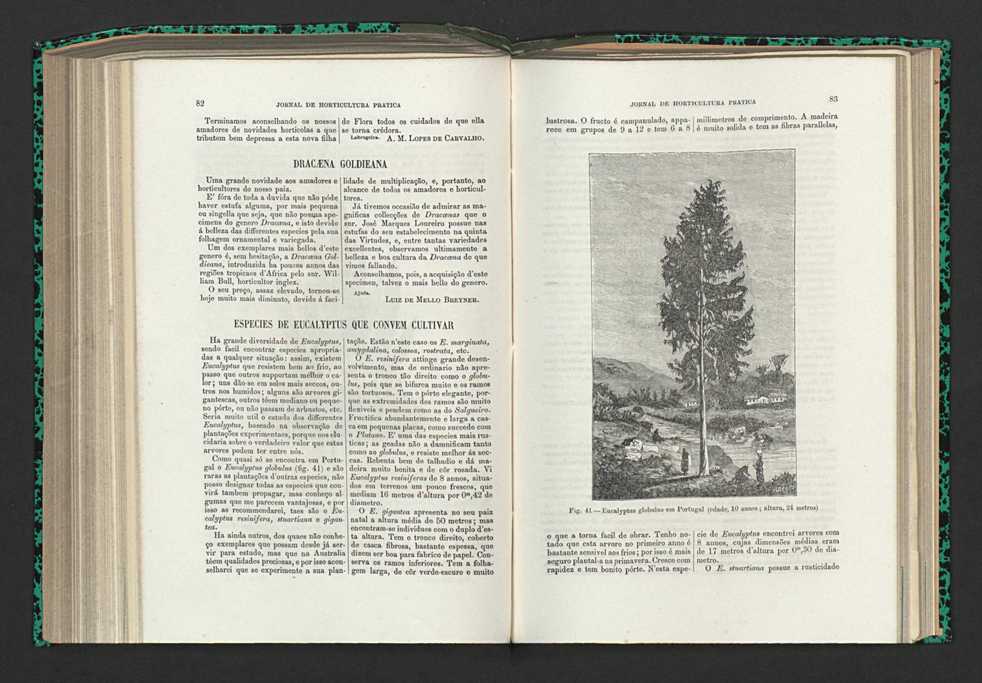 Jornal de horticultura prtica XV 57