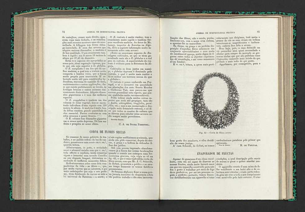 Jornal de horticultura prtica XV 58