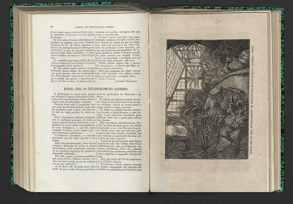 Jornal de horticultura prtica XV 60
