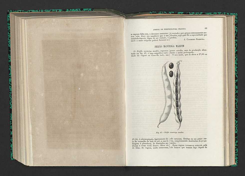 Jornal de horticultura prtica XV 61