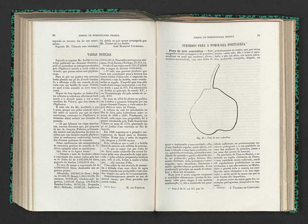 Jornal de horticultura prtica XV 62