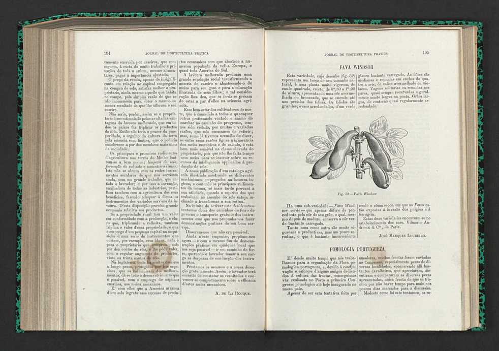 Jornal de horticultura prtica XV 69